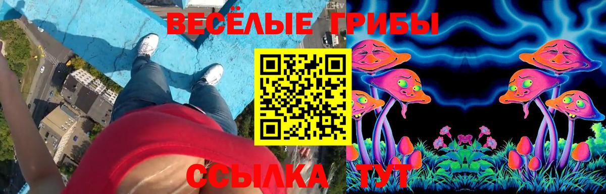 Уварово  Псилоцибиновые грибы Magic Shrooms  Вход с VPN 
