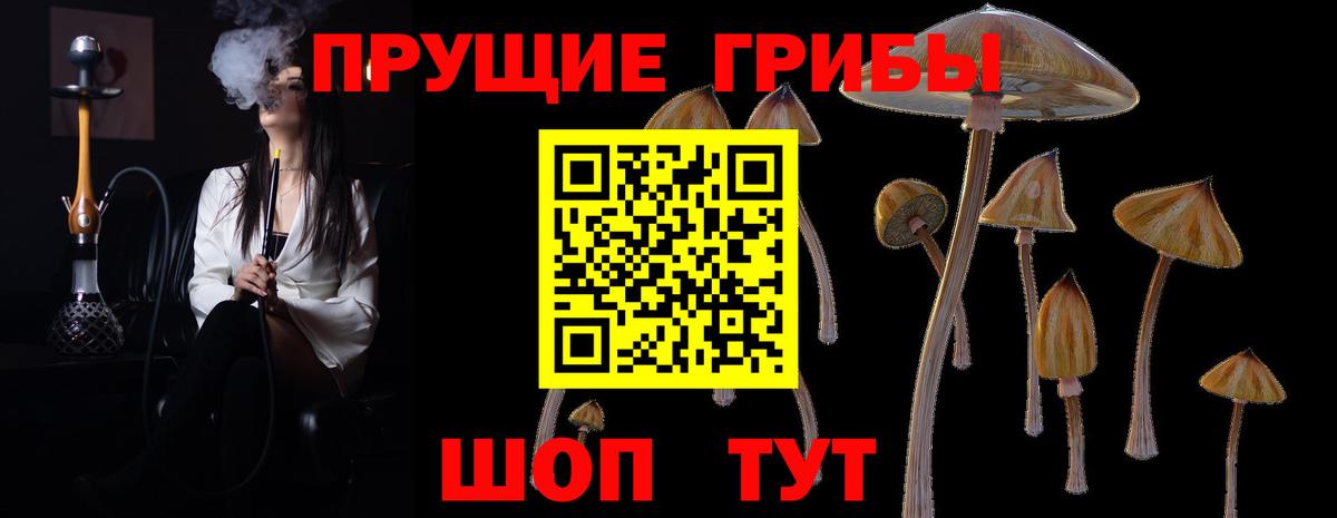 Галлюциногенные грибы MAGIC MUSHROOMS Уварово